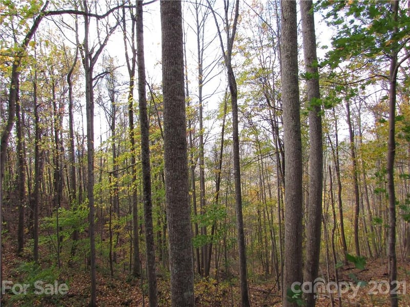 E- 15 Red Wolf Run None, Mars Hill, NC 28754
