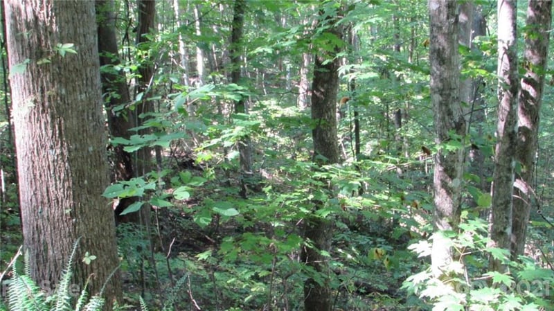 E- 17 Red Wolf Run None, Mars Hill, NC 28754