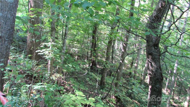 E- 17 Red Wolf Run None, Mars Hill, NC 28754
