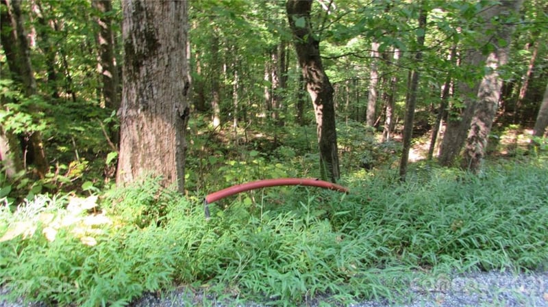 E- 17 Red Wolf Run None, Mars Hill, NC 28754