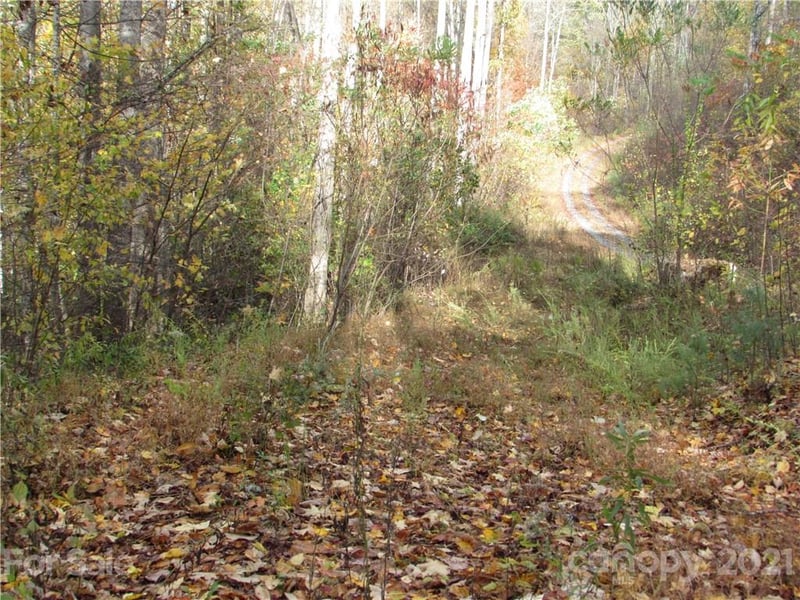 E- 20 Red Wolf Run None, Mars Hill, NC 28754