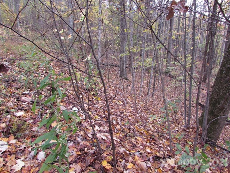 E- 20 Red Wolf Run None, Mars Hill, NC 28754