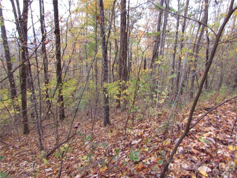 E- 20 Red Wolf Run None, Mars Hill, NC 28754