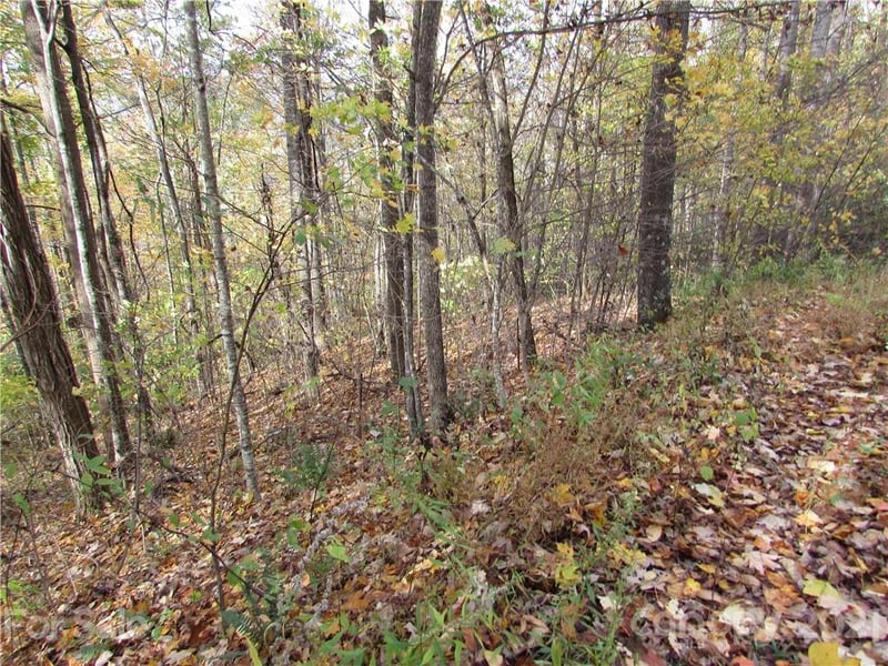 E- 20 Red Wolf Run None, Mars Hill, NC 28754