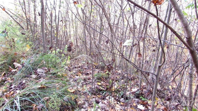 E- 19 Red Wolf Run None, Mars Hill, NC 28754