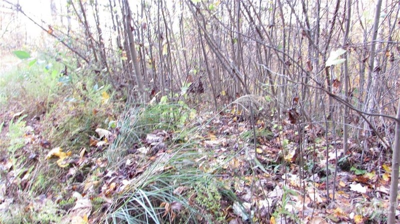 E- 19 Red Wolf Run None, Mars Hill, NC 28754