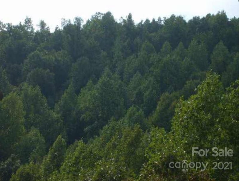 Highland Meadows Way, Lenoir, NC 28645
