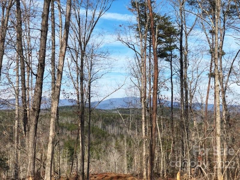 Hardin Store Rd, Rutherfordton, NC 28139