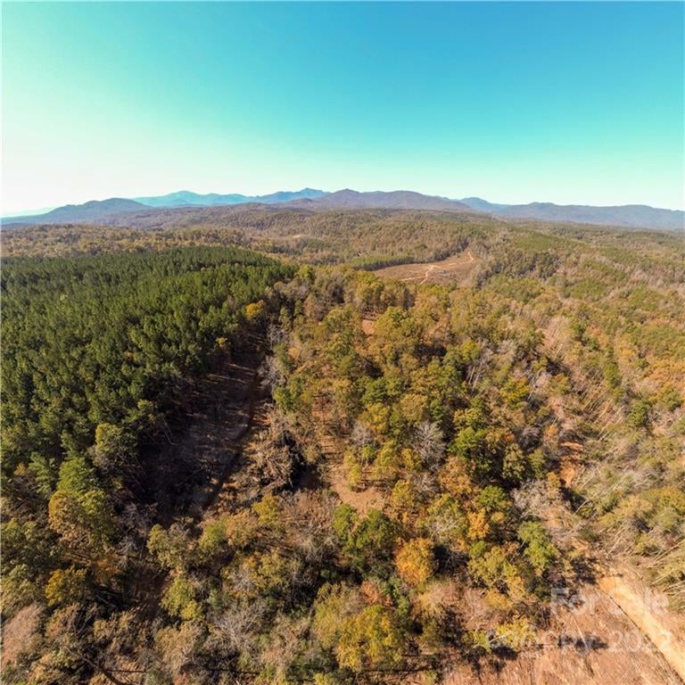 Hardin Store Rd, Rutherfordton, NC 28139