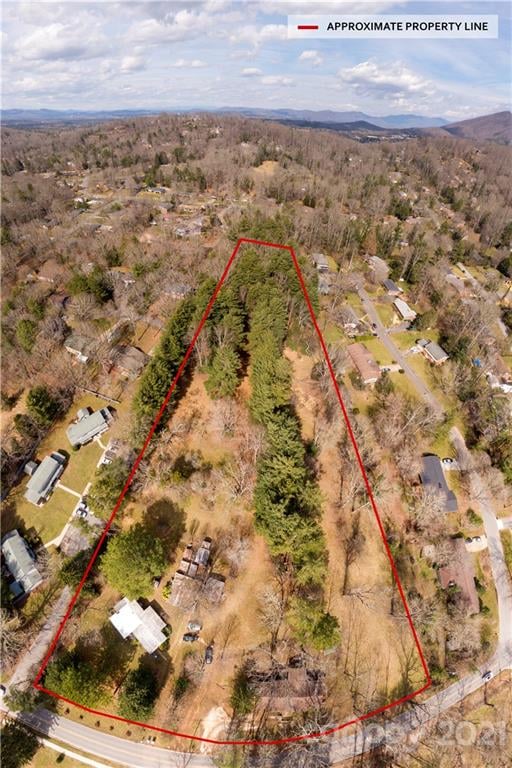 93 - 95 Springside Rd, Asheville, NC 28803