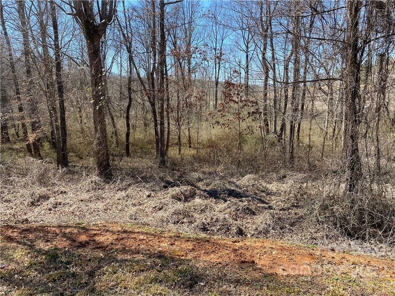 000 Bridge Ln #43, Tryon, NC 28782