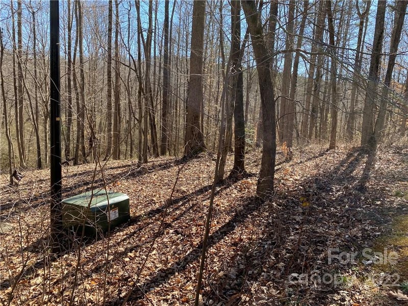 000 Rambling Creek Rd #16, Tryon, NC 28782