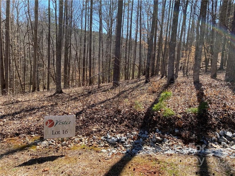 000 Rambling Creek Rd #16, Tryon, NC 28782