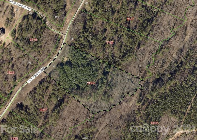 316 Pilot Ridge Rd #11, Nebo, NC 28761