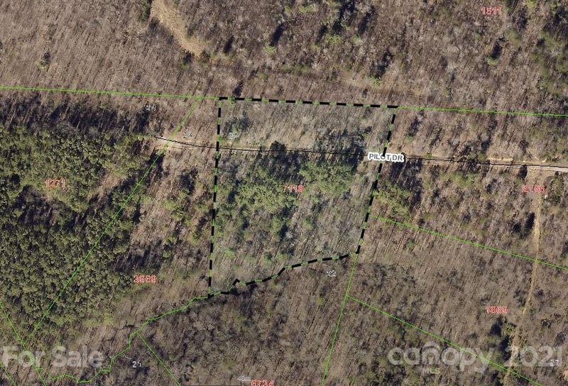 159 Pilot Ridge Rd #25, Nebo, NC 28761