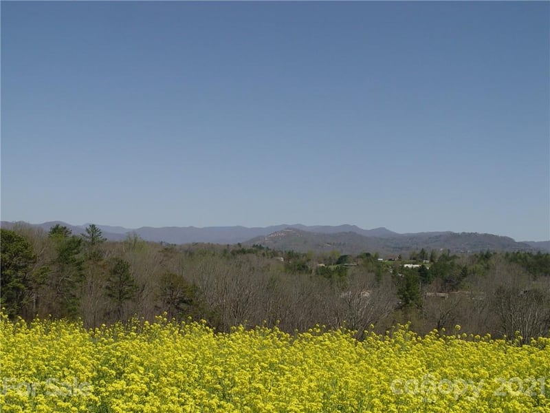 XXXX Bear Creek Rd, Leicester, NC 28748