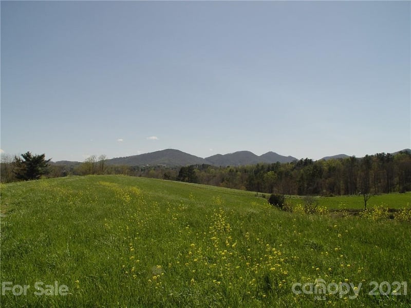 XXXX Bear Creek Rd, Leicester, NC 28748