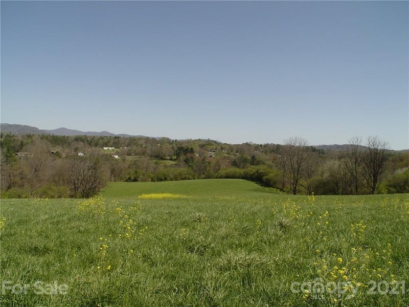 XXXX Bear Creek Rd, Leicester, NC 28748