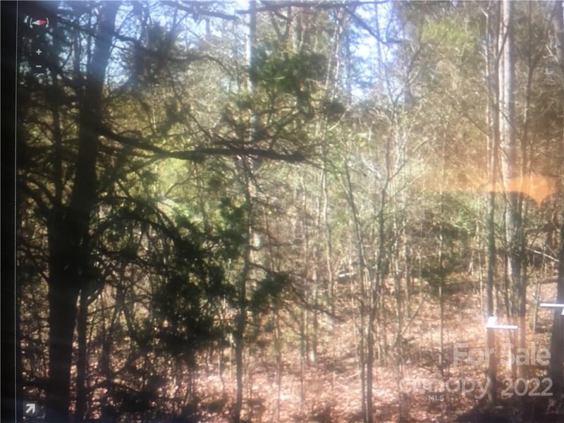 Acreage Mount Gallant Rd, Rock Hill, SC 29732