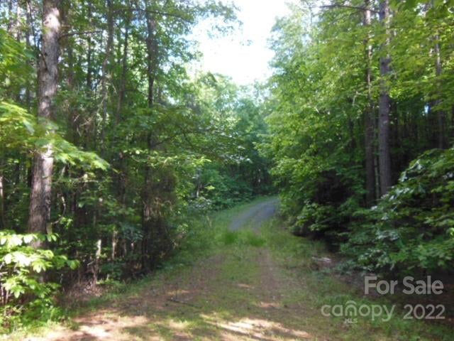 9 and 10 Grassy Knob Rd #9 and 10, Rutherfordton, NC 28139