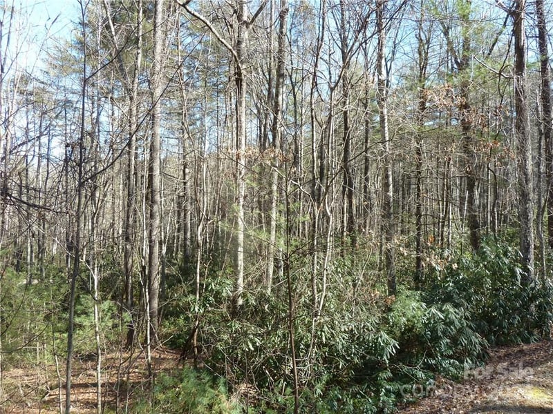 30 Abby Falls Dr #30, Rosman, NC 28772
