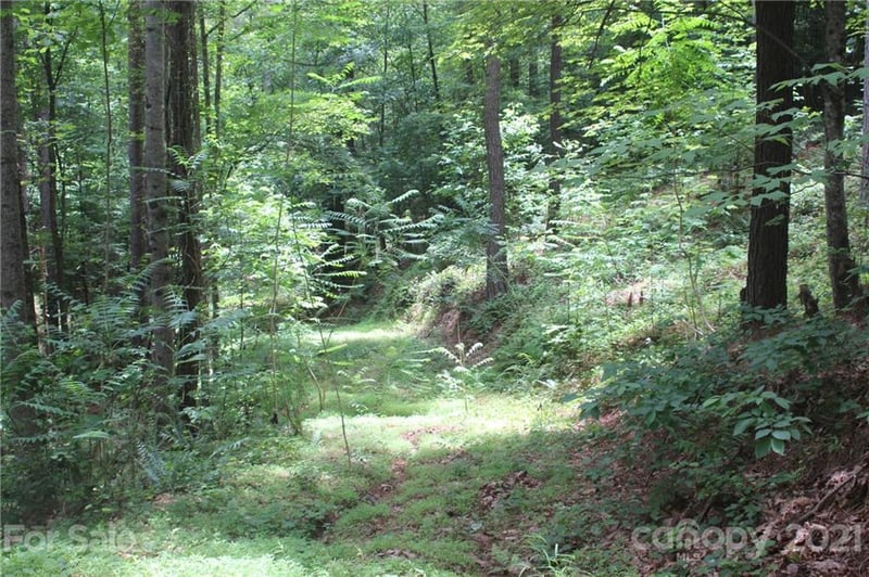 2202 Island View Ln #5, Connelly Springs, NC 28612