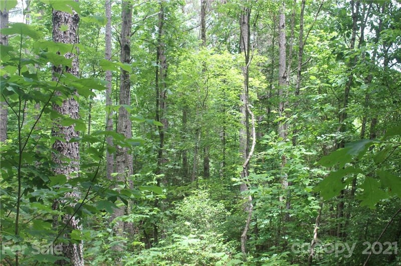 2202 Island View Ln #5, Connelly Springs, NC 28612