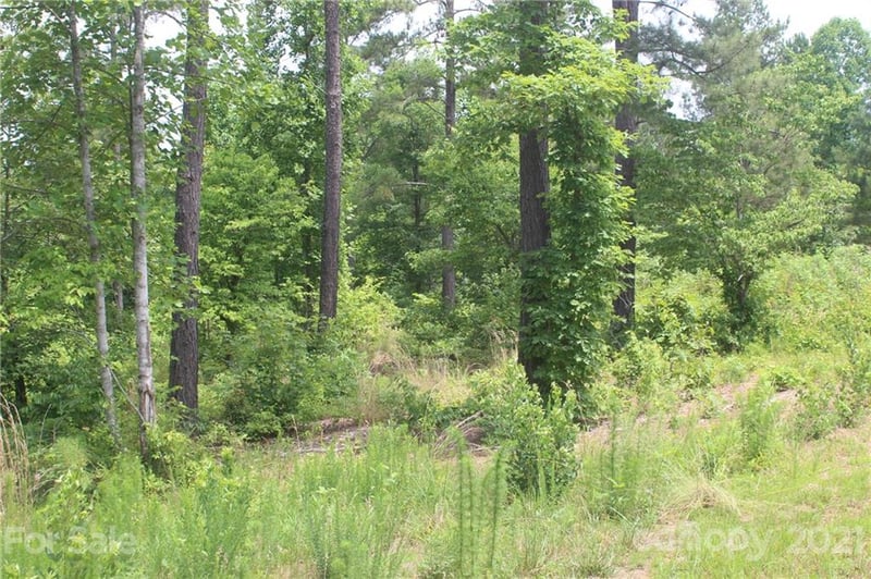 1826 Lake Vista Dr #2, Connelly Springs, NC 28612