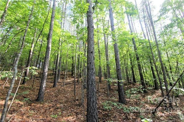 Chasewood Dr #8, Rutherfordton, NC 28139