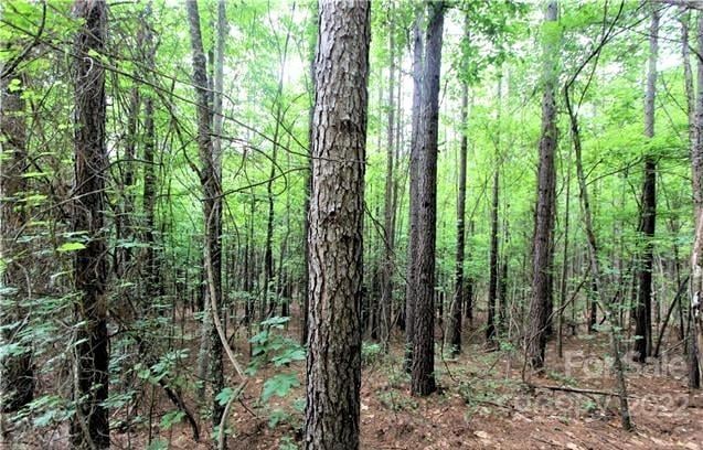 Chasewood Dr #8, Rutherfordton, NC 28139