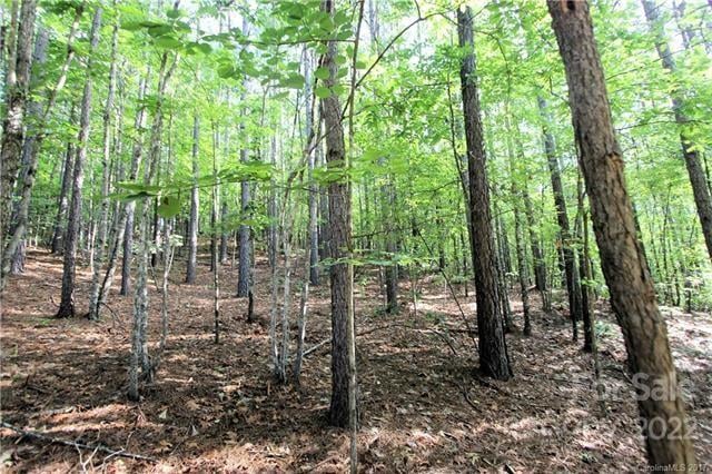 Chasewood Dr #8, Rutherfordton, NC 28139