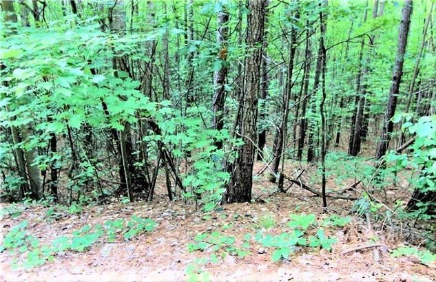 Chasewood Dr #13, Rutherfordton, NC 28139