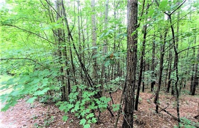 Chasewood Dr #13, Rutherfordton, NC 28139