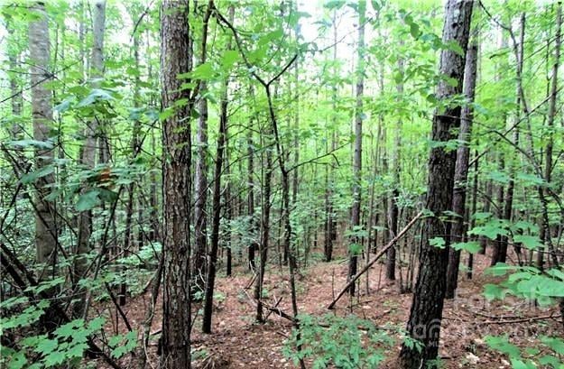Chasewood Dr #13, Rutherfordton, NC 28139