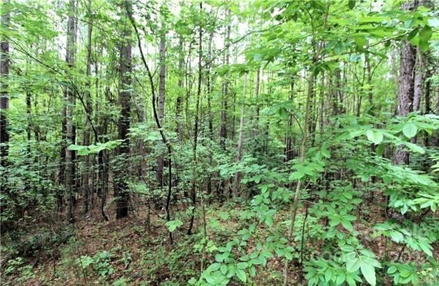 Chasewood Dr #13, Rutherfordton, NC 28139