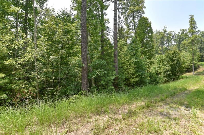 Lot 2 The Vines Blvd Lot 2, Marshall, NC 28753