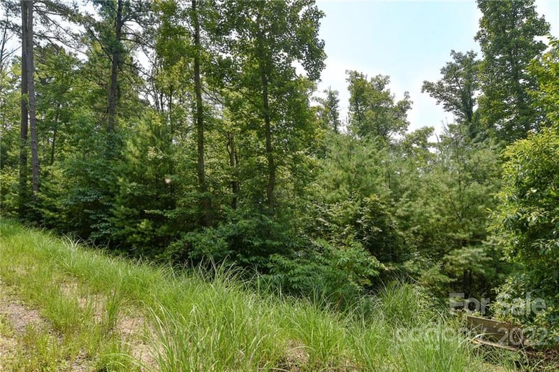 Lot 2 The Vines Blvd Lot 2, Marshall, NC 28753