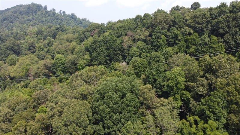 TBD England Rd, Canton, NC 28716