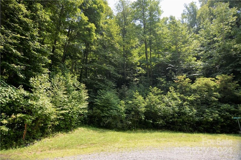 00 Little Pond Ps Lot 33, Mars Hill, NC 28754