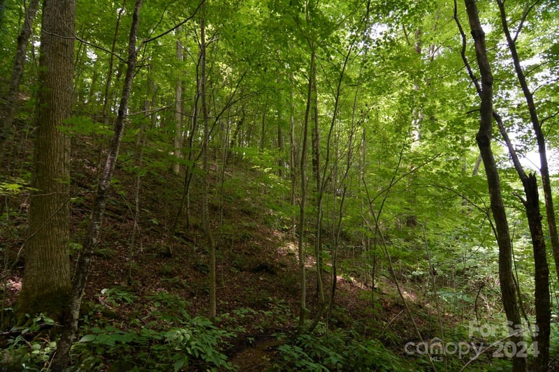 00 Little Pond Ps Lot 33, Mars Hill, NC 28754