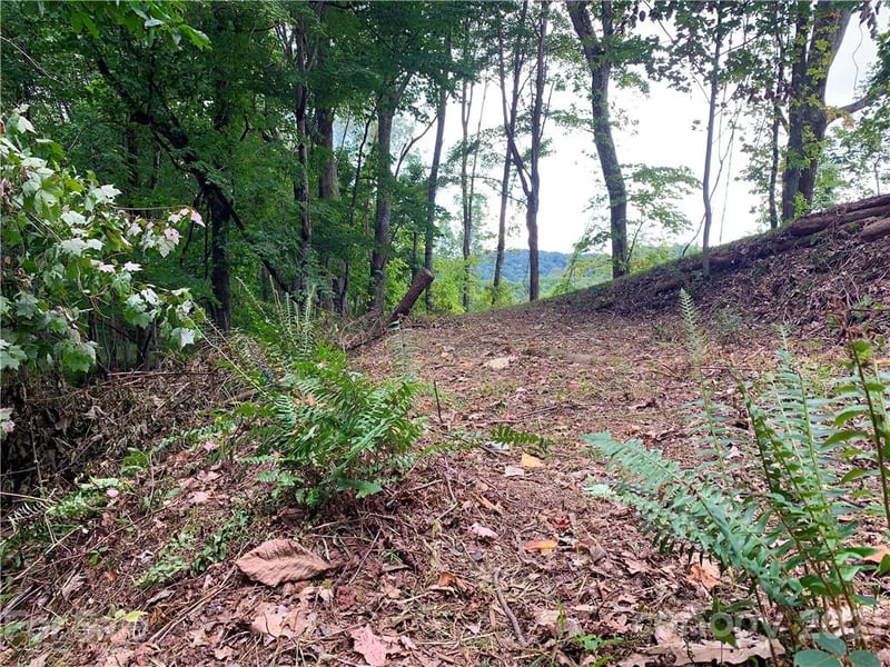 375 Buck Dr, Hot Springs, NC 28743