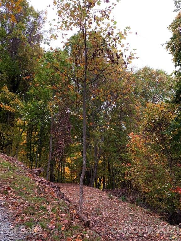 375 Buck Dr, Hot Springs, NC 28743