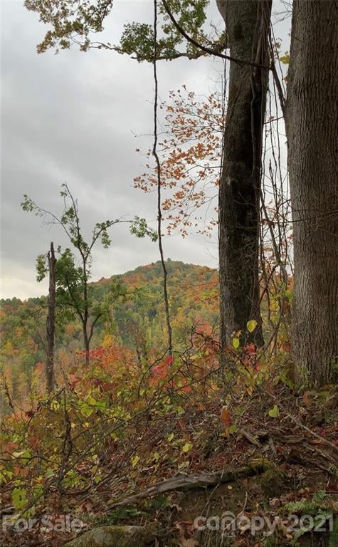 375 Buck Dr, Hot Springs, NC 28743
