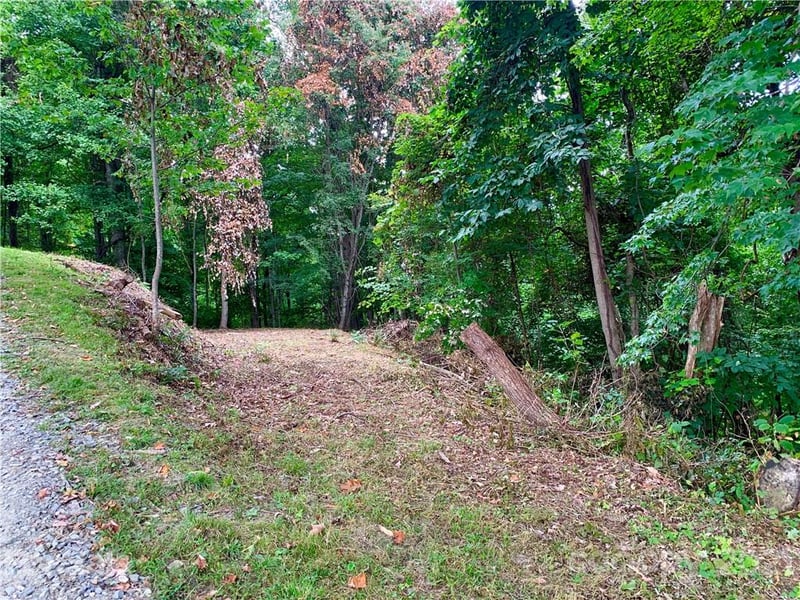 375 Buck Dr, Hot Springs, NC 28743