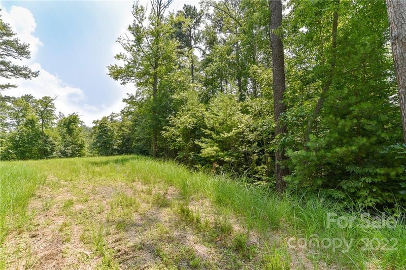 Lot 4 The Vines Blvd Lot 4, Marshall, NC 28753