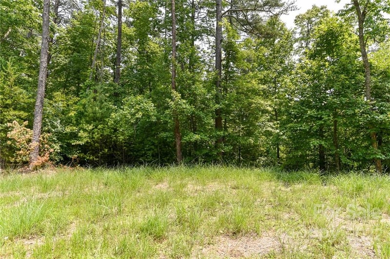 Lot 4 The Vines Blvd Lot 4, Marshall, NC 28753