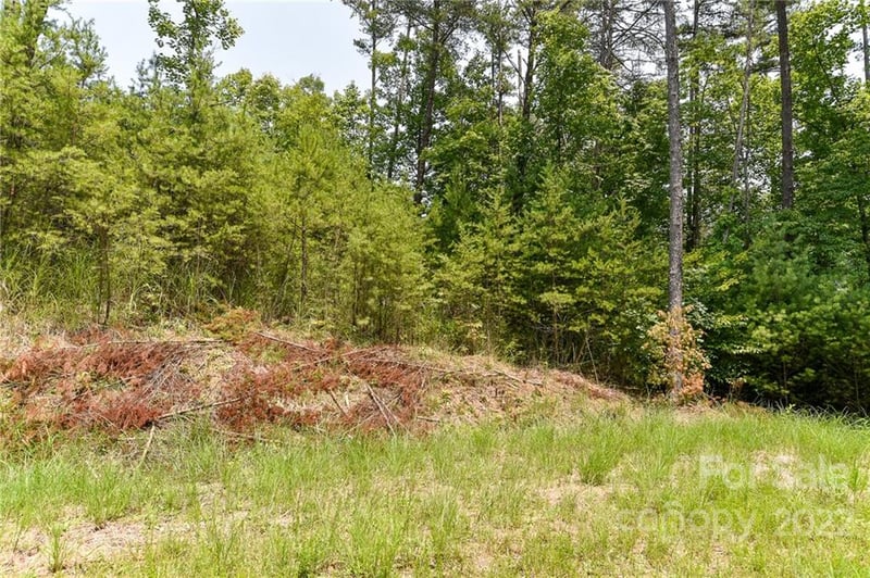 Lot 4 The Vines Blvd Lot 4, Marshall, NC 28753