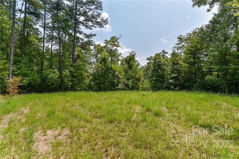 Lot 4 The Vines Blvd Lot 4, Marshall, NC 28753