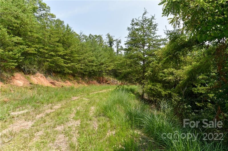 Lot 9 The Vines Blvd Lot 9, Marshall, NC 28753