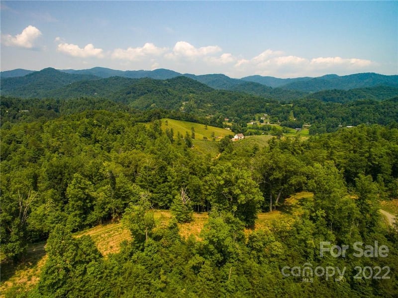 Lot 9 The Vines Blvd Lot 9, Marshall, NC 28753